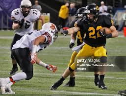 26 Tiger Tory Stock Photos, High-Res Pictures, and Images