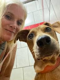 Car Rental Service in Costa Rica Supporting Dog Rescue