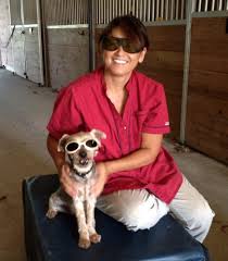 Show your dog or cat some extra love with veterinary care from our animal clinic in bradenton, florida. Holistic Vet House Calls Holistic Veterinary House Call Visits For Your Dogs Cats And Horses