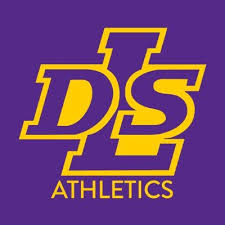 Image result for DLS 70