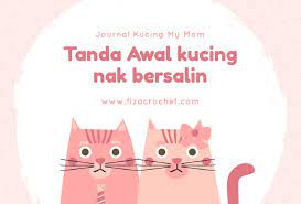 5 tanda mungkin arnab anda bunting teori. Tanda Tanda Awal Kucing Nak Bersalin
