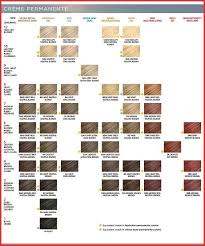 Ion Demi Color Chart 132146 Clairol Professional Creme