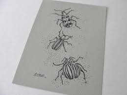 Black And White Insect Drawings Beetle Art Drawing Original Art Ink Drawing Bug Insect Art Black And White Insect Drawing Nature Art Illustration 5 X 7 With Images Beetle Art Insect Art Original Ink Drawing