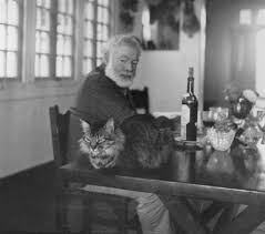 Ernest hemingway at table with his cat cristobal at finca vigia. Hemingway Shoots His Cat Brain Pickings