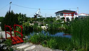 Das minibiotop ist nicht nur hübsch ein gartenteich ist lebensraum für fische, frösche, libellen und andere tiere und insekten. Tara Teich Garten Teichbau Landschaftsbau Galabau