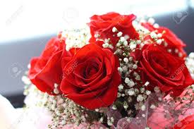 May 24, 2021 · these are just the cutest flowers. Rote Rose Und Kleine Weisse Blumen Bouquet Lizenzfreie Fotos Bilder Und Stock Fotografie Image 53625843