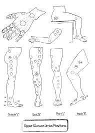 Where To Perform Hijama Or Cupping Cupping Therapy Hijama Cupping Points
