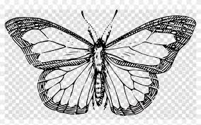 You can choose one of 20 butterfly outline png images and download it for free. Butterfly Outline Clipart Butterfly Clip Art Monarch Butterfly Black And White Clipart Png Download 5889992 Pikpng