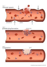 Image result for Platelet Function Closure Time