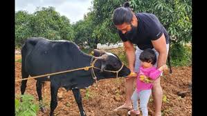 Yash S Picture With Daughter Ayra Feeding A Cow Will Make You Go Aww Filmibeat Search thousands of names, meanings and origins. daughter ayra feeding a cow