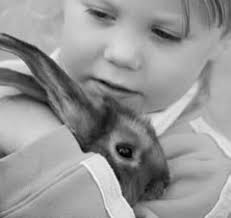 Governor Daniels Signs Veterinary Bill into Law IVMA district task force  needs your input