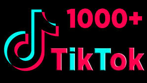 I Will Provide You 1 000 Tiktok Followers Udyamjob