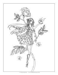 Rose Fairy Bunny Fairy Coloring Pages Fairy Coloring Fairy Drawings