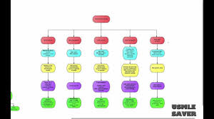 Valvular Heart Disease Flowchart Usmle Step 2 Ck Youtube