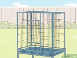 Cara membuat sangkar burung menggunakan tutup kipas angin. Cara Memelihara Burung Cinta Dengan Gambar Wikihow