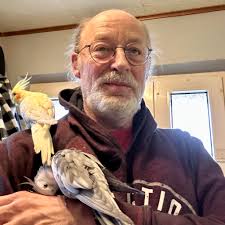 Creative Arrangement of Tree Branches as Nature's Dance