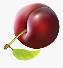 plum png image plum clipart free transparent clipart clipartkey plum png image plum clipart free