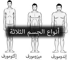 أنواع الجسم الثلاثة