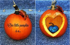 Fall Pumpkin Gender Reveal Pumpkin Gender Reveal Halloween Gender Reveal Fall Gender Reveal Party