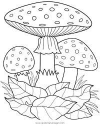 Check spelling or type a new query. Herbstmotive Fliegenpilz Ausmalbilder