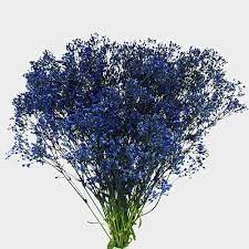 Baby S Breath Bulk Flowers Blooms By The Box Blue Flower Arrangements Blue Flower Pictures Wholesale Flowers