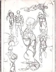 Gil Kane Human Anatomy Art Anatomy Drawing Anatomy Art