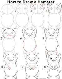 How To Draw A Hamster (Step By Step Pictures)