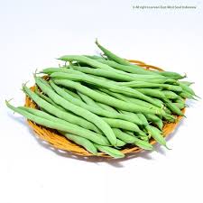 Translate kacang buncis in english online and download now our free translator to use any time at no charge. Logawa