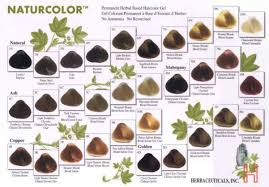 Naturcolor Permanent Herbal Hair Dye Gels In 2019 Dyed