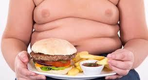 Resultado de imagen de obesidad