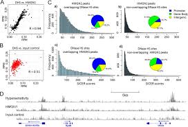 Colocalization Of Hmgn1 And Dnase I Hypersensitivity Sites