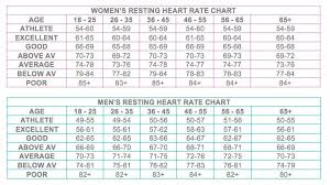 Resting Heart Rate Chart Resting Heart Rate Chart Pulse