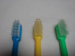 ãæ¯åæ¶èæ­¯ãã©ã·ãã®ç»åæ¤ç´¢çµæ