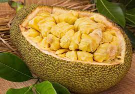 Its origin is in the region between the western ghats of southern india, all of sri lanka and the rainforests of malaysia. What Is Jackfruit And Is It Healthy Cleveland Clinic