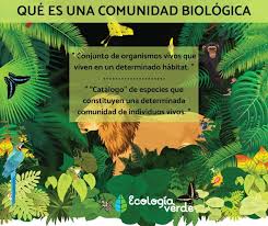 Join facebook to connect with comunidad ama and others you may know. Comunidad Biologica Que Es Estructura Y Ejemplos