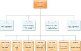 Company Organizational Structure Online Charts Collection