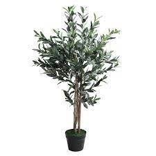 From newly planted to 1000 year old trees, there's one for everyone. Northlight 40 Potted Brown And Green Artificial Olive Tree With Foliage The Home Depot Canada