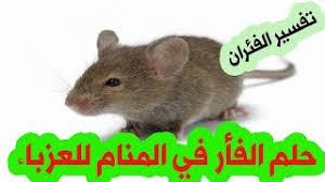 تفسير حلم الارقام والاعداد في المنام ذات تفسيرات متعددة ومختلفة حيث أن رؤية رقم صفر دليل على الأحداث قدرة الرائي على الإمساك بشئون وإدارة حياته بشكل جيد. ØªÙˆØ¸ÙŠÙ Ø£Ø¬ÙˆÙ Ø­Ø§Ø³Ø© Ø§Ù„Ù„Ù…Ø³ ØªÙØ³ÙŠØ± Ø§Ù„Ø­Ù„Ù… Ø¨Ø§Ù„ÙØ£Ø± Guillotinpoilvet Com