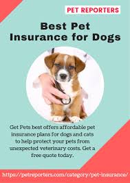 Pet insurance can ensure that you can afford the care your pet needs. Ppt Best Pet Insurance For Dogs Powerpoint Presentation Free Download Id 7619247