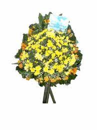 We did not find results for: Send Cheap Flowers Deliver To Iloilo In The Philippines Ph Gifts