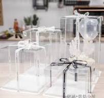 Square Acetate Clear Cake Boxes | Lazada PH