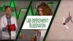 HOE LANG ZIJN JE BLOEDVATEN?! - LAB EXPERIMENT - YouTube