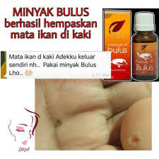 Cara menggunakan minyak bulus untuk pria. Minyak Bulus Sr12 Pengencang Payudara Dan Pembesar Alat Vital Pria Shopee Indonesia