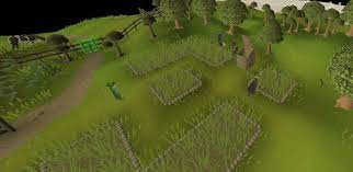 As cactus leaves turned into cactus spines and lost their ability to photosynthesize, the plants had to find a new way to produce food. Old School Runescape The Complete Farming Guide