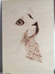Pyrography An Innocent Cat Pyrography Pyrography Patterns Pyrography Designs