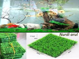 We did not find results for: Jual Rumput Sintetis Untuk Hias Aquarium Aquascape Model Halus Lazada Indonesia