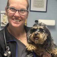 BEST of Addison, MI Traditional Chinese/Herbal Medicine for Pets