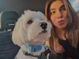 Who is looking for a roommate in Herndon/Reston/Fairfax area?