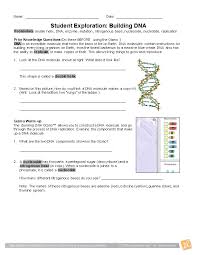 Gizmo building dna answers is available in our digital library an online access to it is set as public so you can download it instantly. Student Exploration Building Dna Docsbay