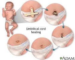Maybe you would like to learn more about one of these? Did You Know Pregnancy And Year One